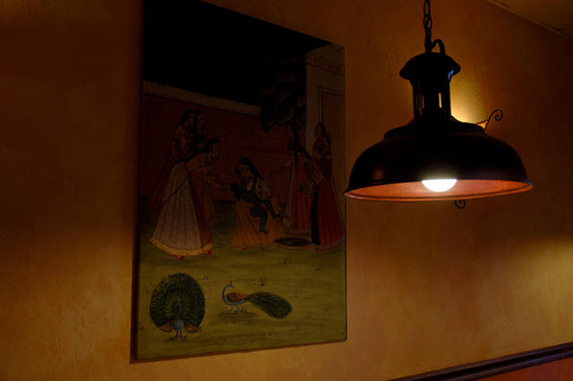 DSC_0237_web